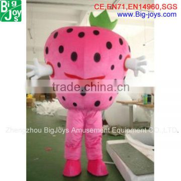 Everyone love Strawberry Character / Fruits Costume