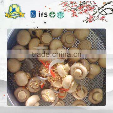 China food Canned Champignon Mushroom