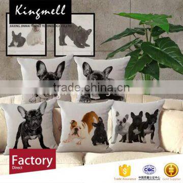 Costom Digital Printing Silk Back Cushion for Sofa and Car