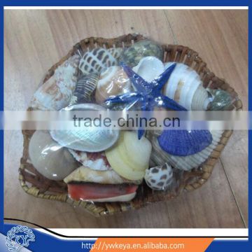 wholesale size 20cm Shellpack with Starfish Sea Shell Baskets