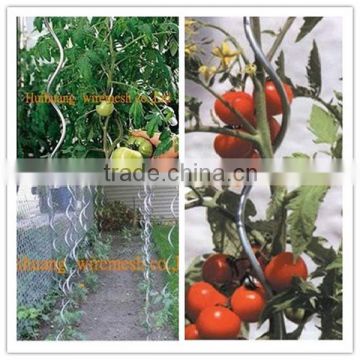 Tomato sprial(Manufacturer &Exporter)-Galvanized or PVC COATED