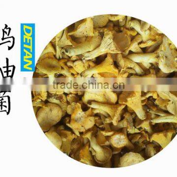 dried mushroom cantharellus cibarius