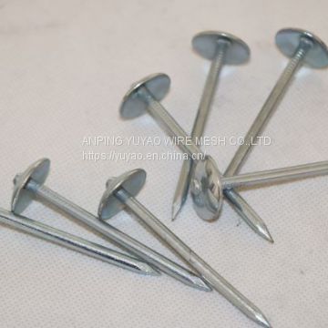 china supplier twisted shank Roofing Nails with Rubber Washer