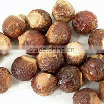Organic Quality Soapnut Shell For Bulk Traders