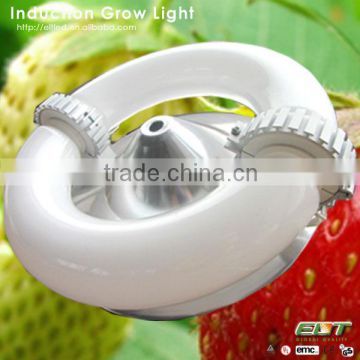 grow lighting item type induction and fluorescent grow lights lowes