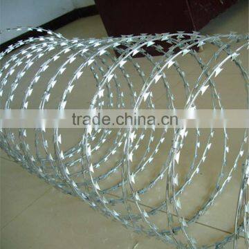 Best price high quanlity Concertina Razor Barbed Wire widely used in Canada