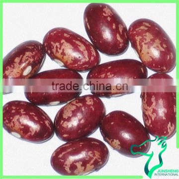 Red Speckled Kidney Bean Origin Of China