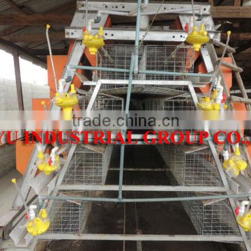 TAIYU Poultry Farm Automatic Chicken Layer Cage