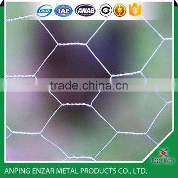 Electro-galvanized Hexagonal Wire Mesh