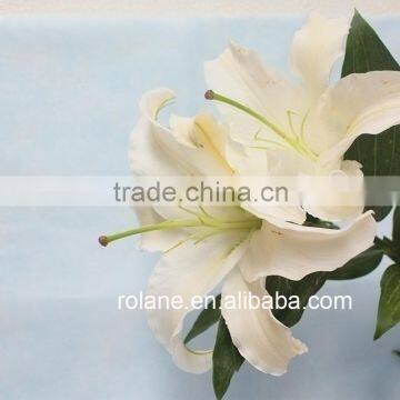 Low Prizes Fresh Cut Lilium Flower With Good Smell
