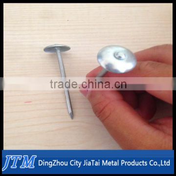 High quality flat head roofing nails/flat head roofing nails for sale