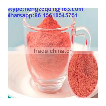 organic strawberry powder /strawberry fruit powder for sale