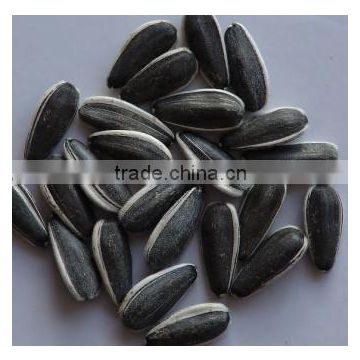 2015 new crop sunflower seed for sale