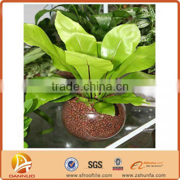 Best supplier fibrous root plant potting soil company
