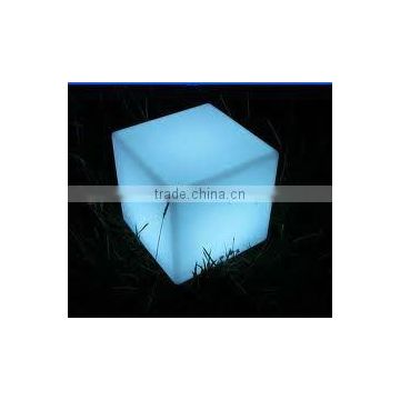 Epoxy Resin puma design 40cm fancy plastic cube