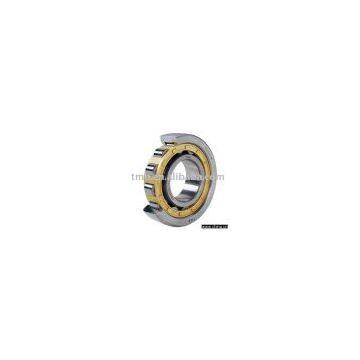 Cylindrical Roller Bearing