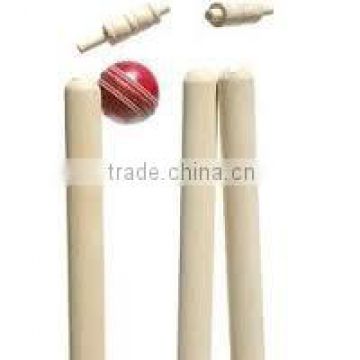 International Wooden Cricket Set