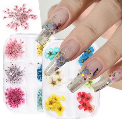 Nail dry flower jewelry Summer Small Fresh Full Sky Star Dried Flower Real Flower Nail set