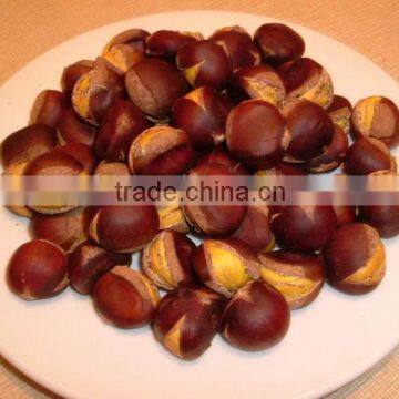 Organic Raw Fresh Chestnut Chinese bulk chestnuts price