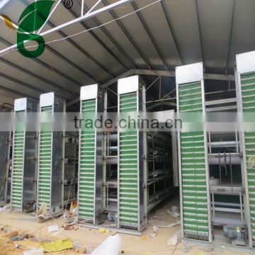 High efficiency full controled automatic collecting egg production equipment for poultry house
