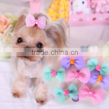 2016 Cute candy color Bowknot Hair Pet