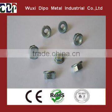 OEM factory customized decorative nut decorative cap nut