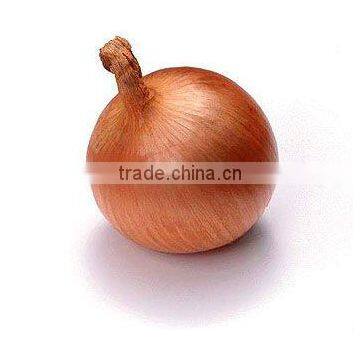 chinese fresh yellow onion 25kg