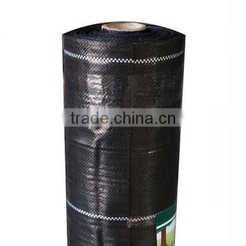 PP or PE plastic weed control fabric with green line
