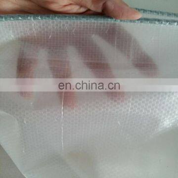 customizable clear plastic sheet pe tarpaulin with aluminum eyelet