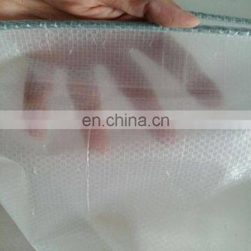 hot sale pe tarpaulin for greenhouse cover,sunshade plastic sheeting