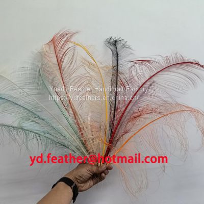 Burnt Ostrich Feather (spaced effect) From China