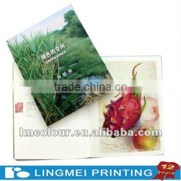 Small Brochure Printing Service With Small MOQ in Guangzhou