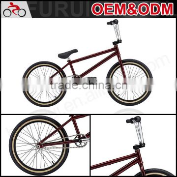 Custom 20 inch steel frame bmx freestyle bike