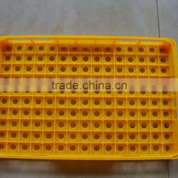 best quality quail eggs plastic tranport crate