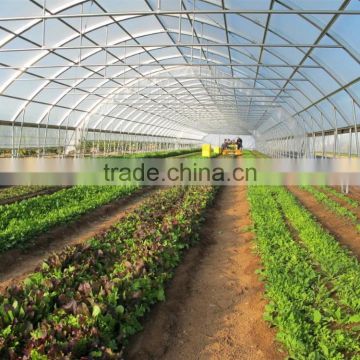 Arch Pipes Tunnel Greenhouse Grow Tent/Plastic Greenhouse For Vegetables