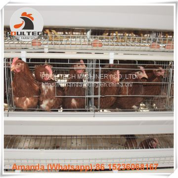 Brazil A Type Battery Laying Hen Cage & Chicken Cage with 90-200 birds for Poultry Farm