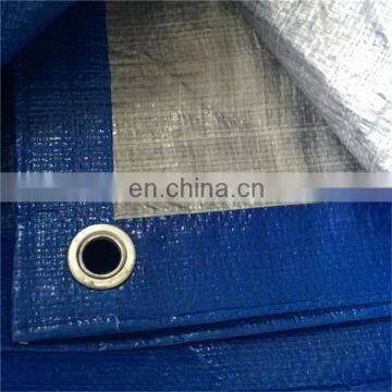 New Design Professional Tarpaulin Price with eyelets Tarps