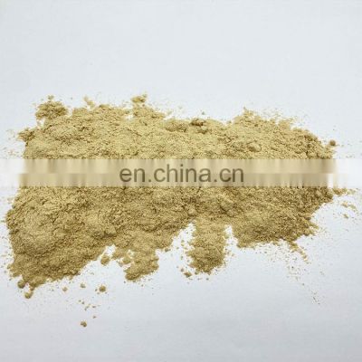 Maitake Powder Extract Frondosa Powder Extract Griffonia Powder