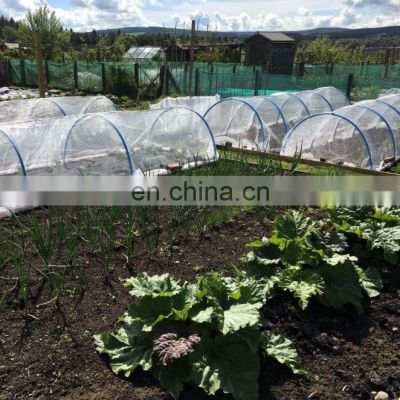 High quality 5 years usage 40x25 50x25 mesh anti insect net