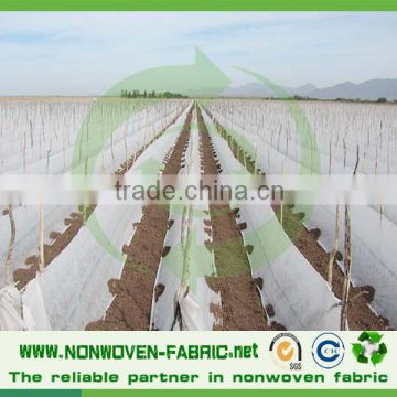 China Supplier Eco-friendly And Breathable pp non woven fleece fabric rolls