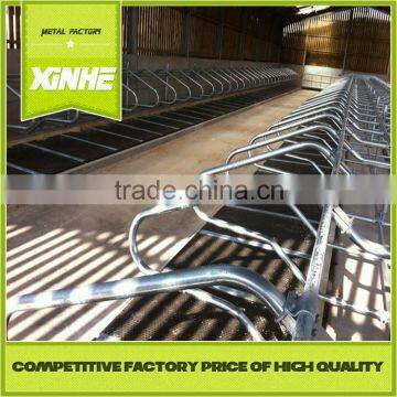 Good fast supplier Cattle cow free stall cattle cubicles