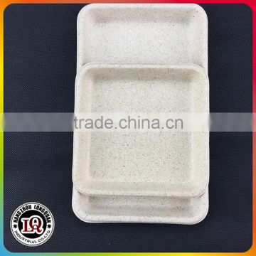 Chinese Biodegradable Disposable Wheat Straw Plate