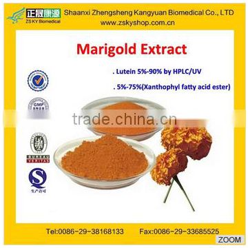 GMP manufacturer supply High Quality Marigold Lutetin Powder for protecting eyesight