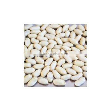 chinese shandong long type blanched peanut