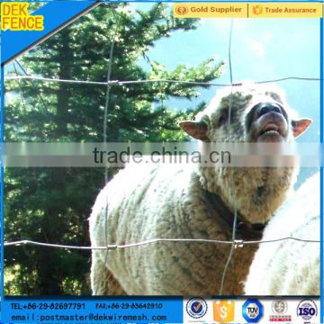 Wholesale galvanized ht deer livestock goat fence