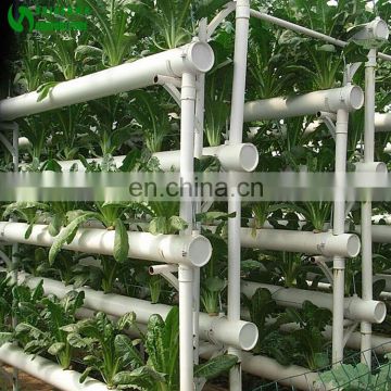 Commercial NFT Vertical Hydroponic Lettuce Culture In Greenhouse