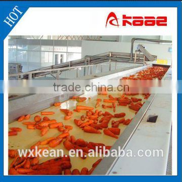Fruit belt conveyor manufactured in wuxi Kaae