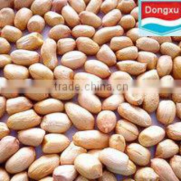 bulk round type peanut kernels 40/50
