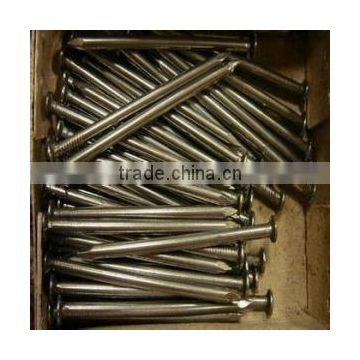 high quality common nails / iron wire nails from Anping county