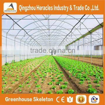 Heracles Trade Assurance multi-span greenhouse for sale